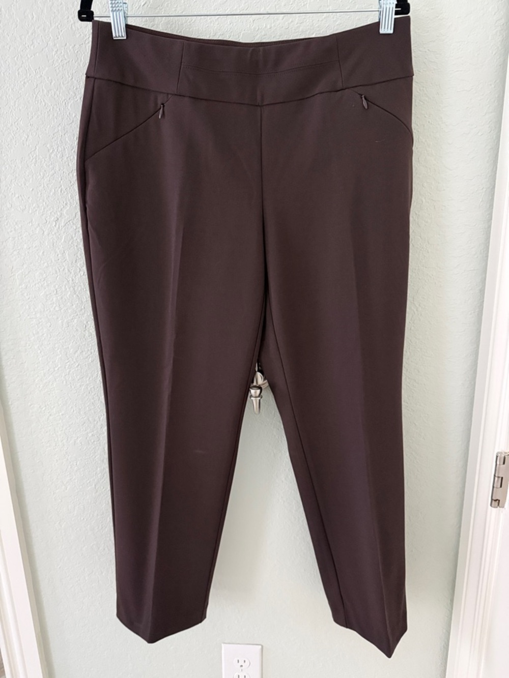 Investments Cropped Pull-On Pants in Dark Brown